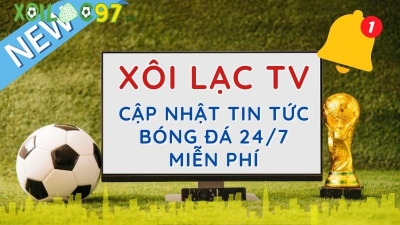 Khám phá bóng đá với xoilac-tvv.lol: Tin tức, trận đấu